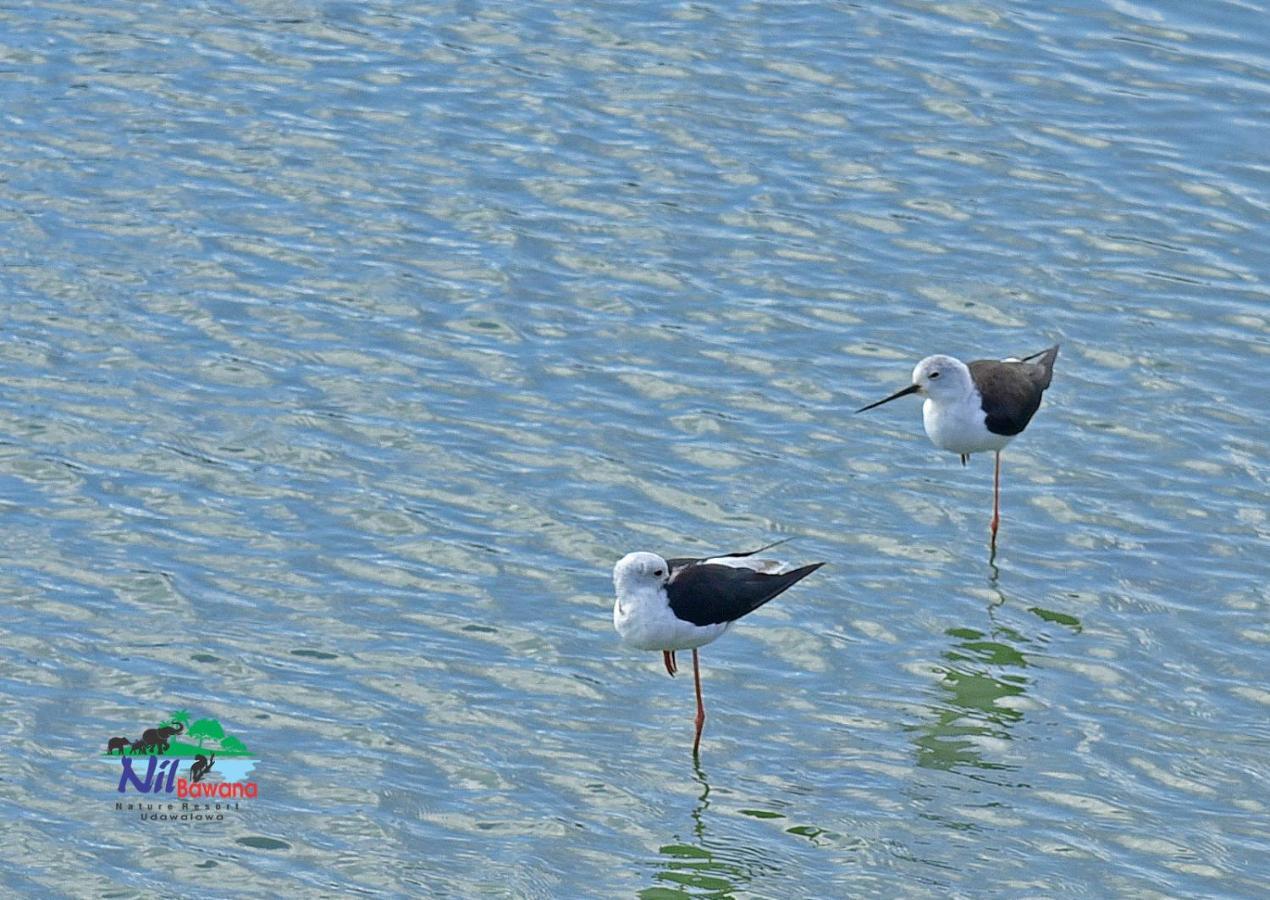 אודוואלאווה Nil Bawana Nature Resort מראה חיצוני תמונה